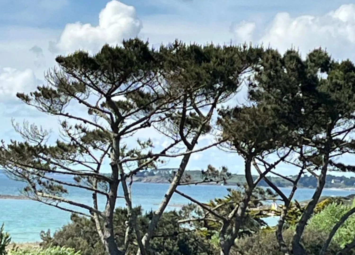Apartamento Ananas Saint-Gildas-de-Rhuys Francia